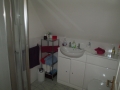 EU 228 Shower Room